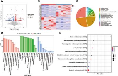 Multi-omics characterization of type 2 diabetes mellitus-induced gastroenteropathy in the db/db mouse model